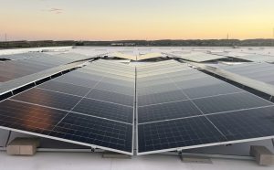 Alicante solar panels 1