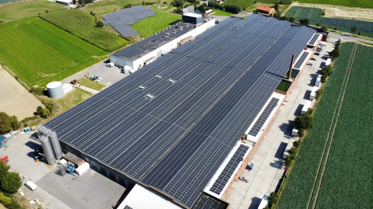 PV-installatie op gerenoveerd asbestdak Jonckvansteen Passendale. 8.919 panelen, 4,98 MWp, uitgevoerd door Ministry of Solar en Stegi Construct.